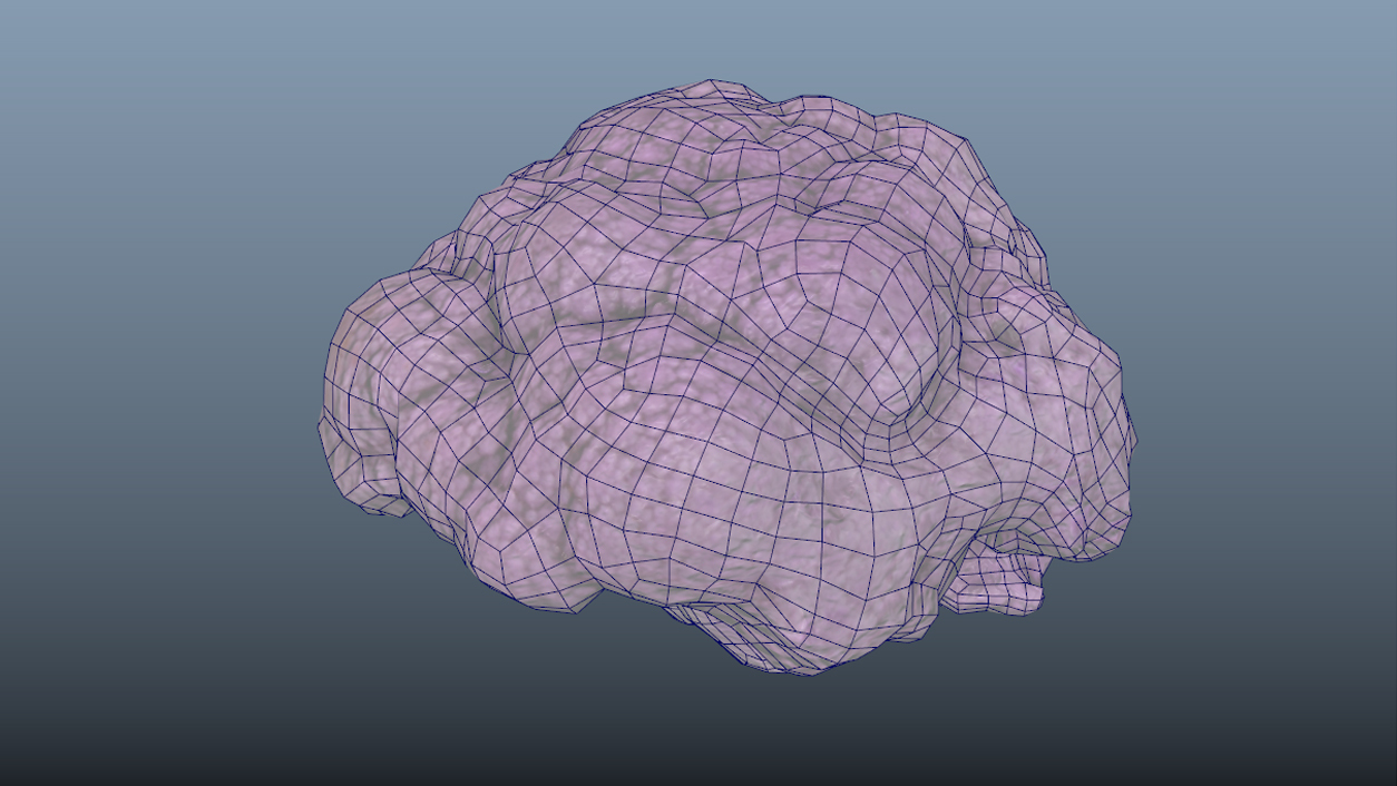 Vegetable Purple Cauliflower - Photoscanned PBR - Extended License by N/A