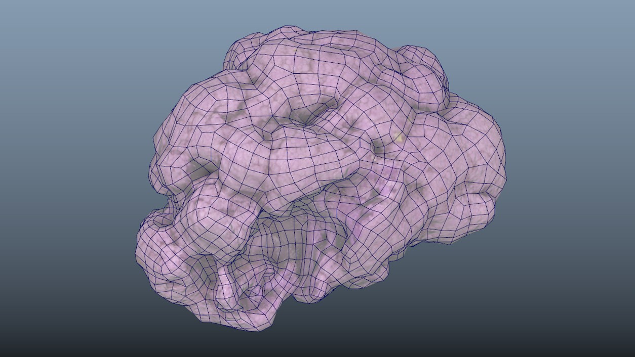 Vegetable Purple Cauliflower - Photoscanned PBR - Extended License by N/A