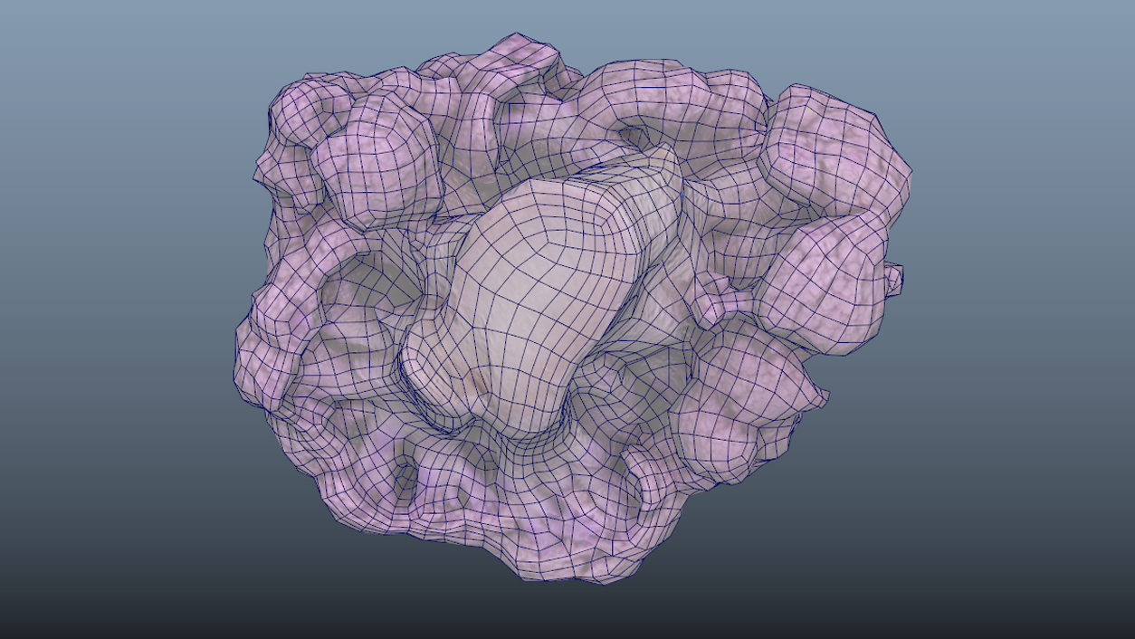 Vegetable Purple Cauliflower - Photoscanned PBR - Extended License by N/A