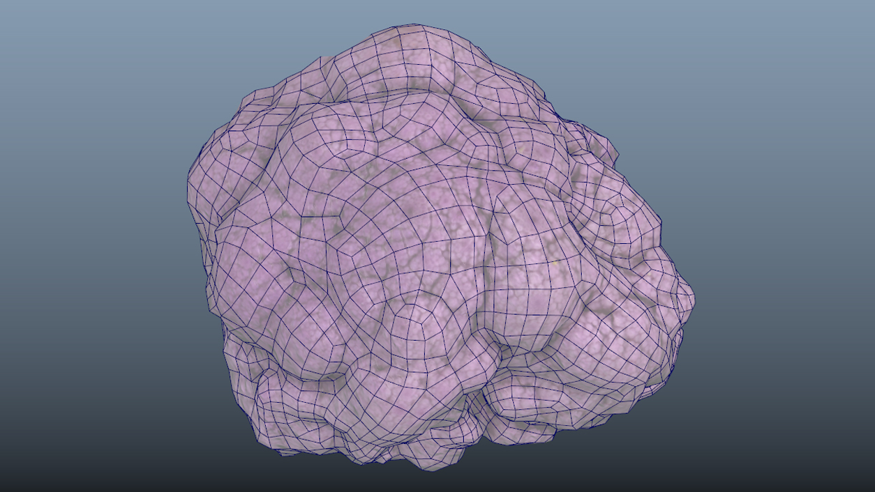 Vegetable Purple Cauliflower - Photoscanned PBR - Extended License by N/A