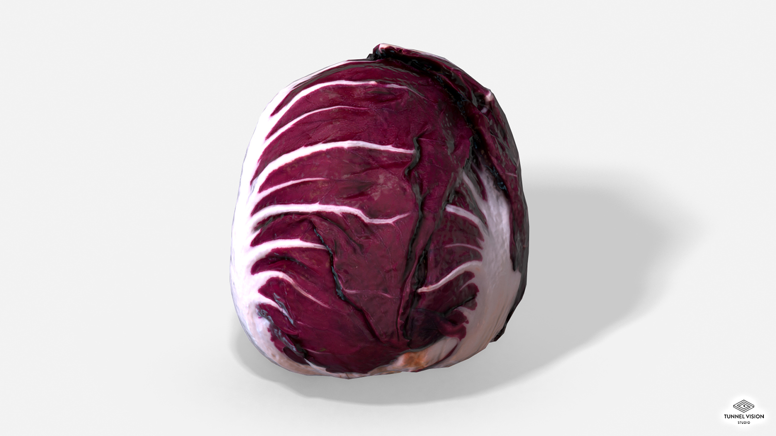Vegetable Red Chicory - Photoscanned PBR - Extended License by N/A