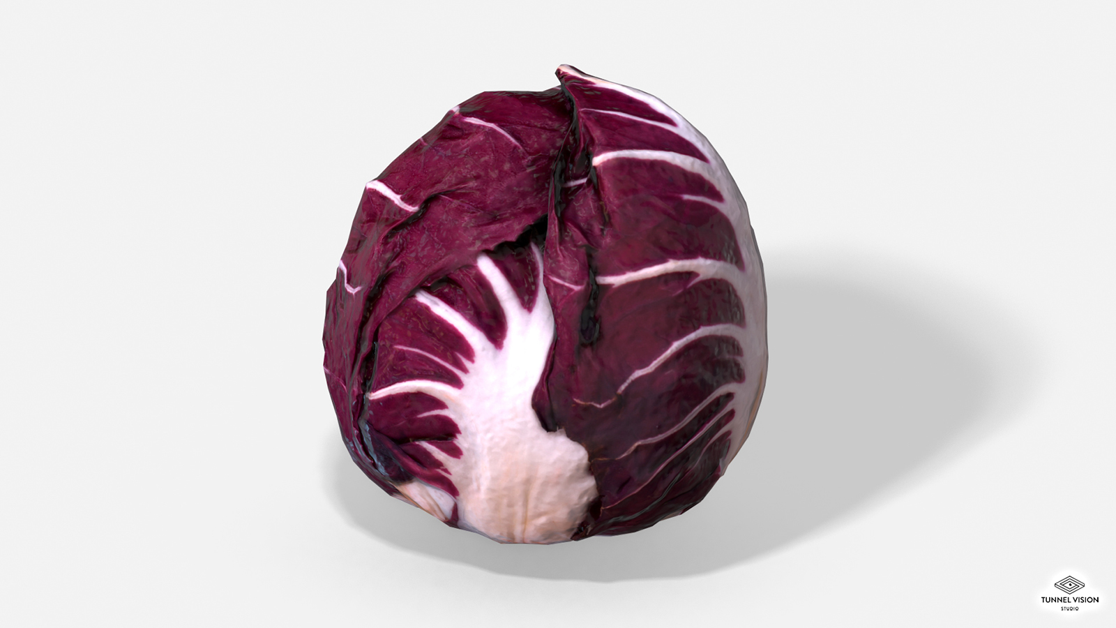 Vegetable Red Chicory - Photoscanned PBR - Extended License by N/A