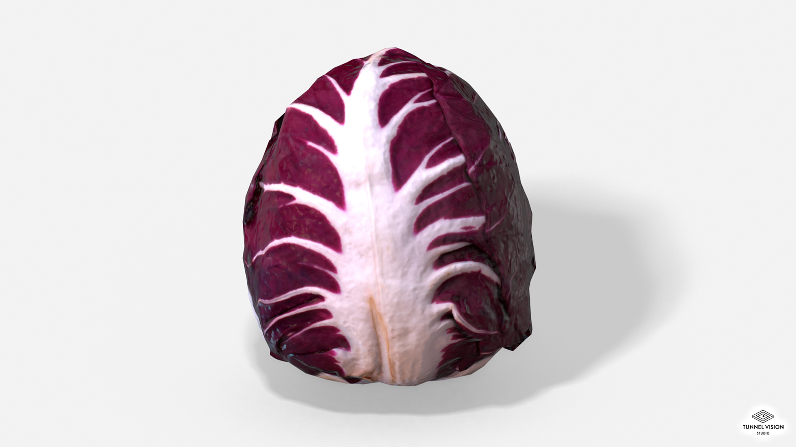 Vegetable Red Chicory - Photoscanned PBR - Extended License by N/A