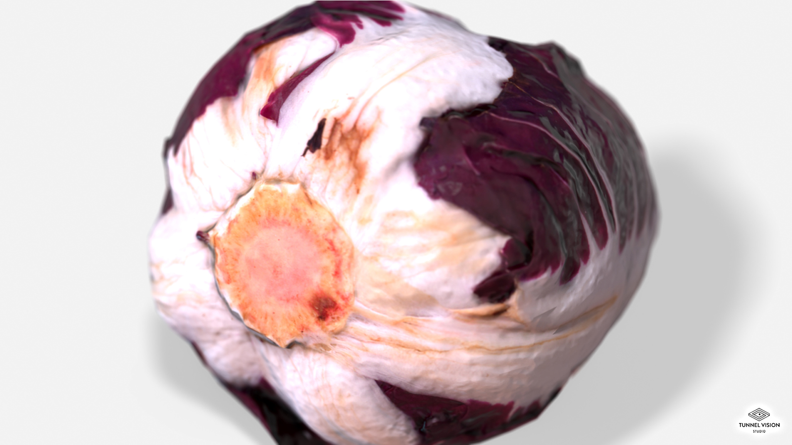 Vegetable Red Chicory - Photoscanned PBR - Extended License by N/A
