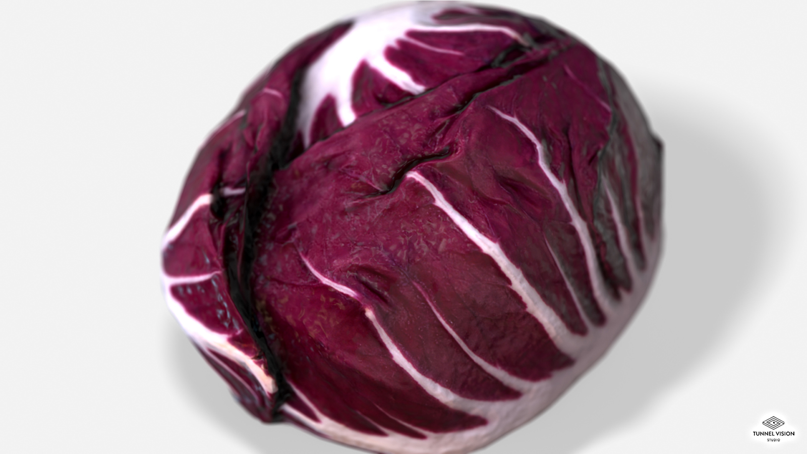 Vegetable Red Chicory - Photoscanned PBR - Extended License by N/A