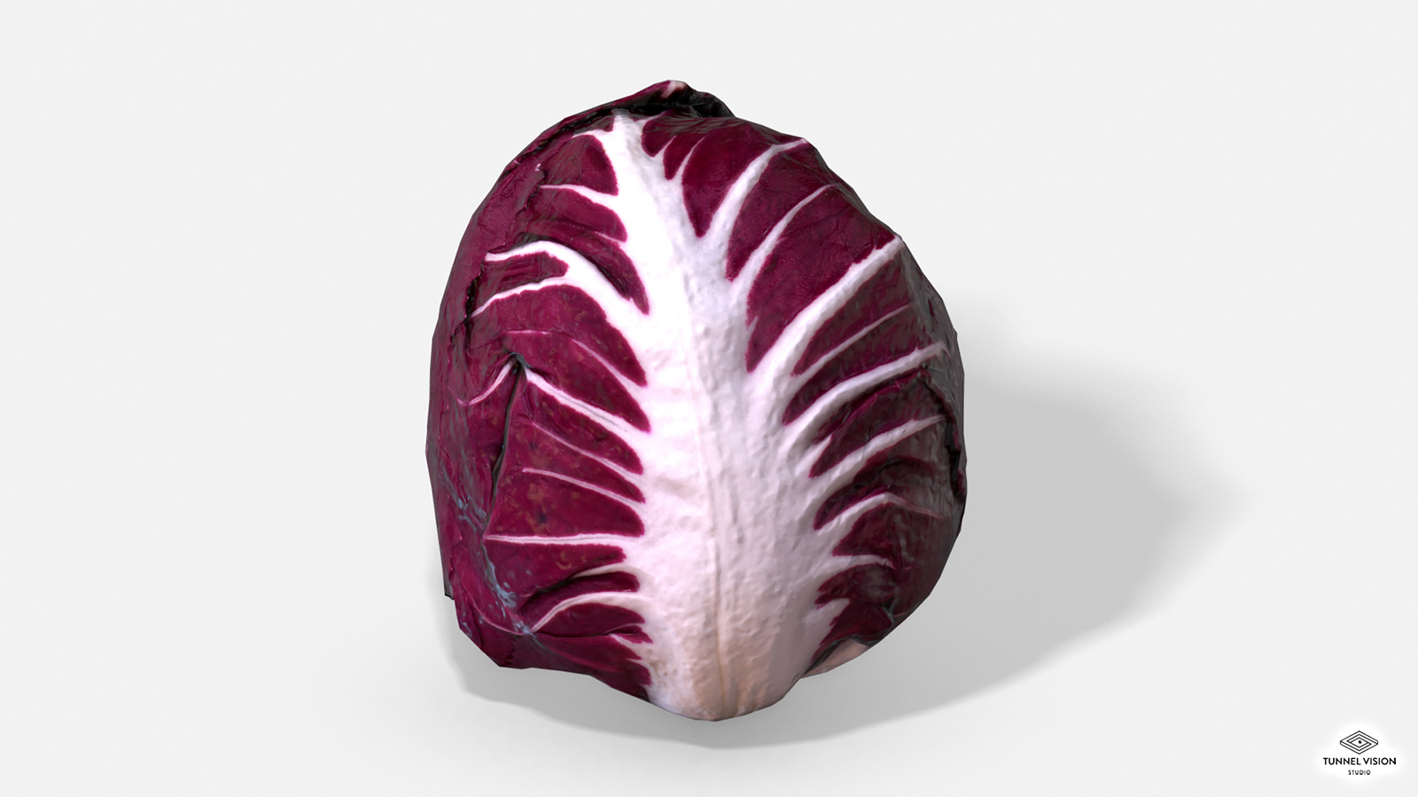 Vegetable Red Chicory - Photoscanned PBR - Extended License by N/A