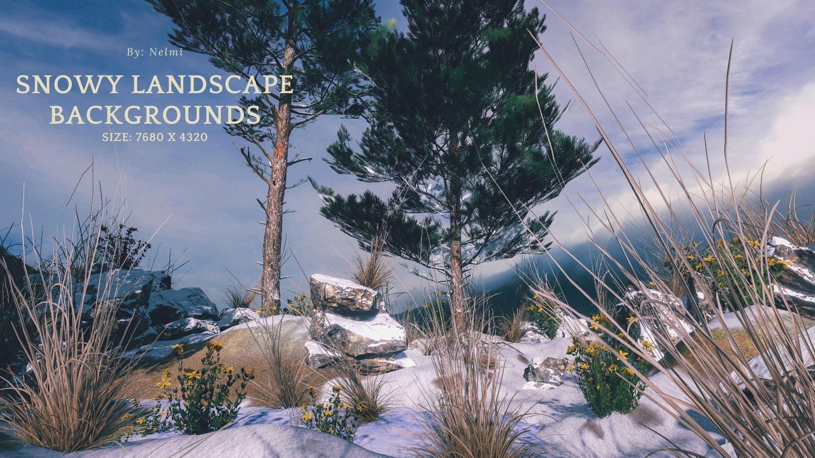 12 Snowy Landscape Backgrounds by N/A