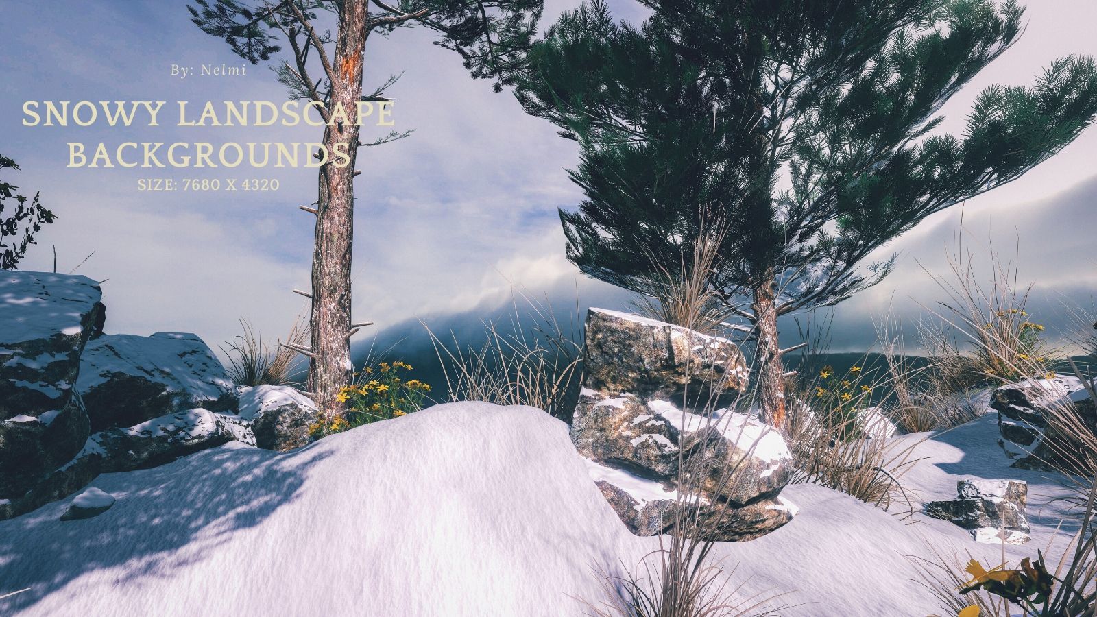 12 Snowy Landscape Backgrounds by N/A