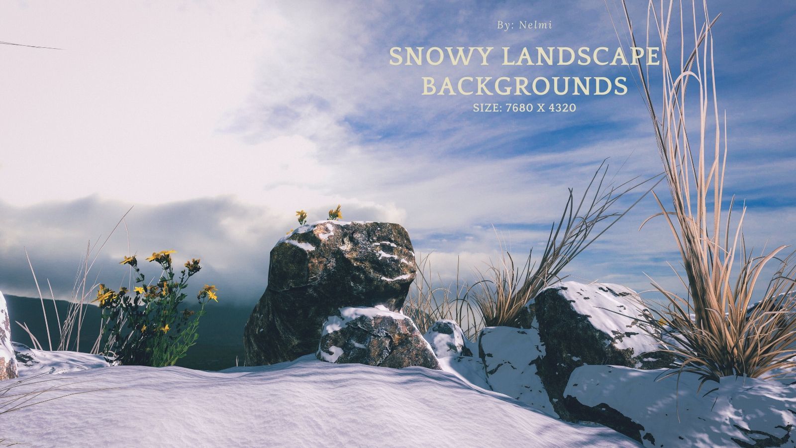 12 Snowy Landscape Backgrounds by N/A