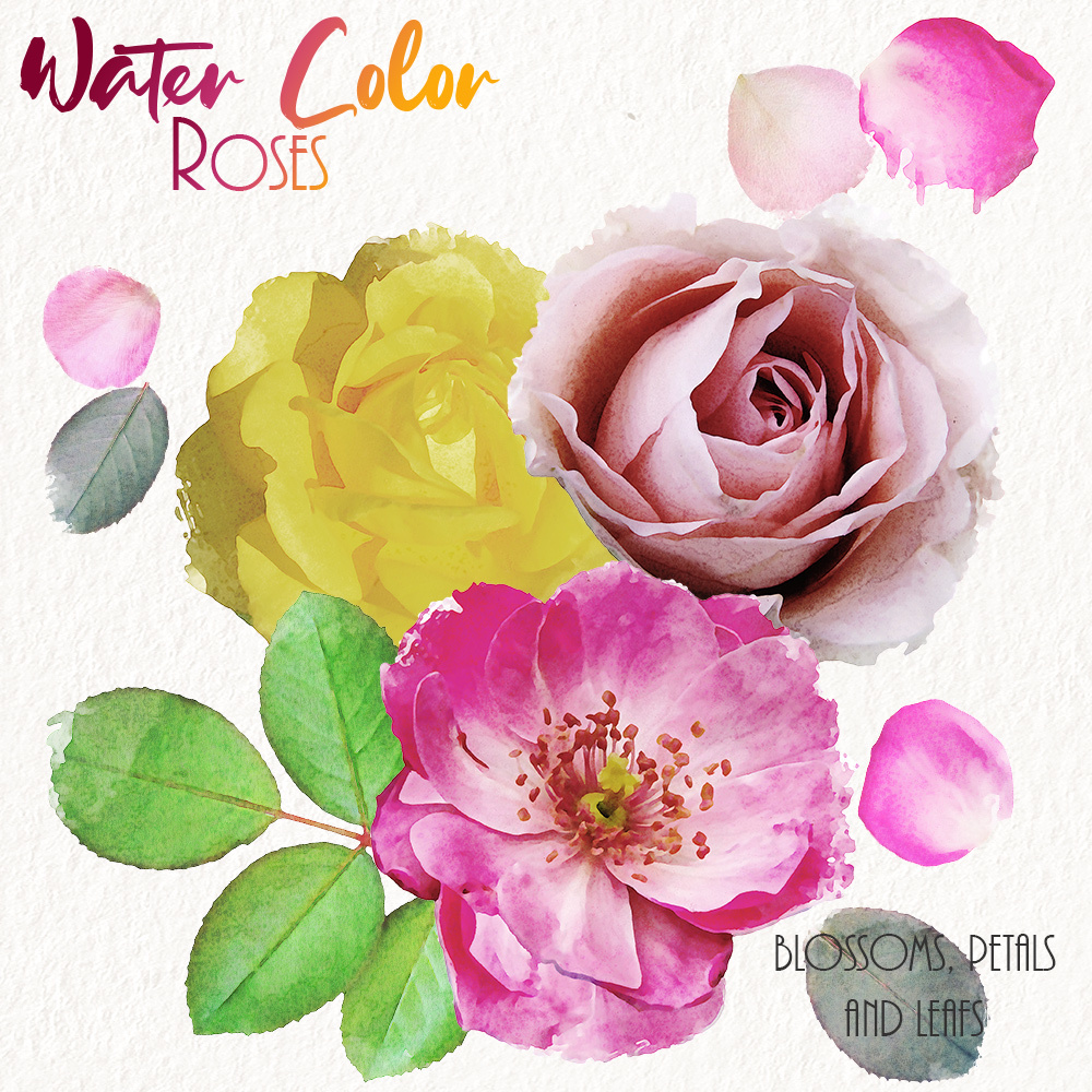 WaterColor Roses by N/A