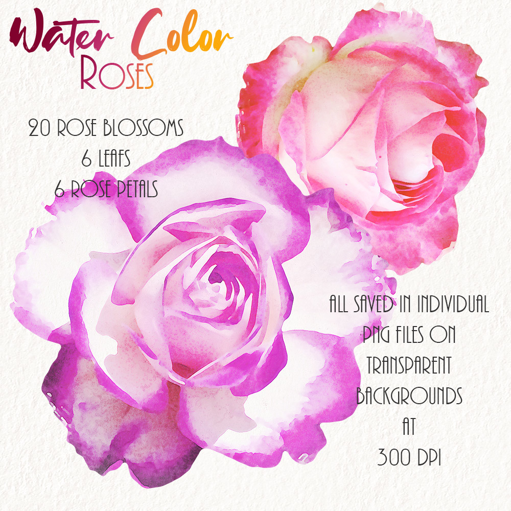 WaterColor Roses by N/A