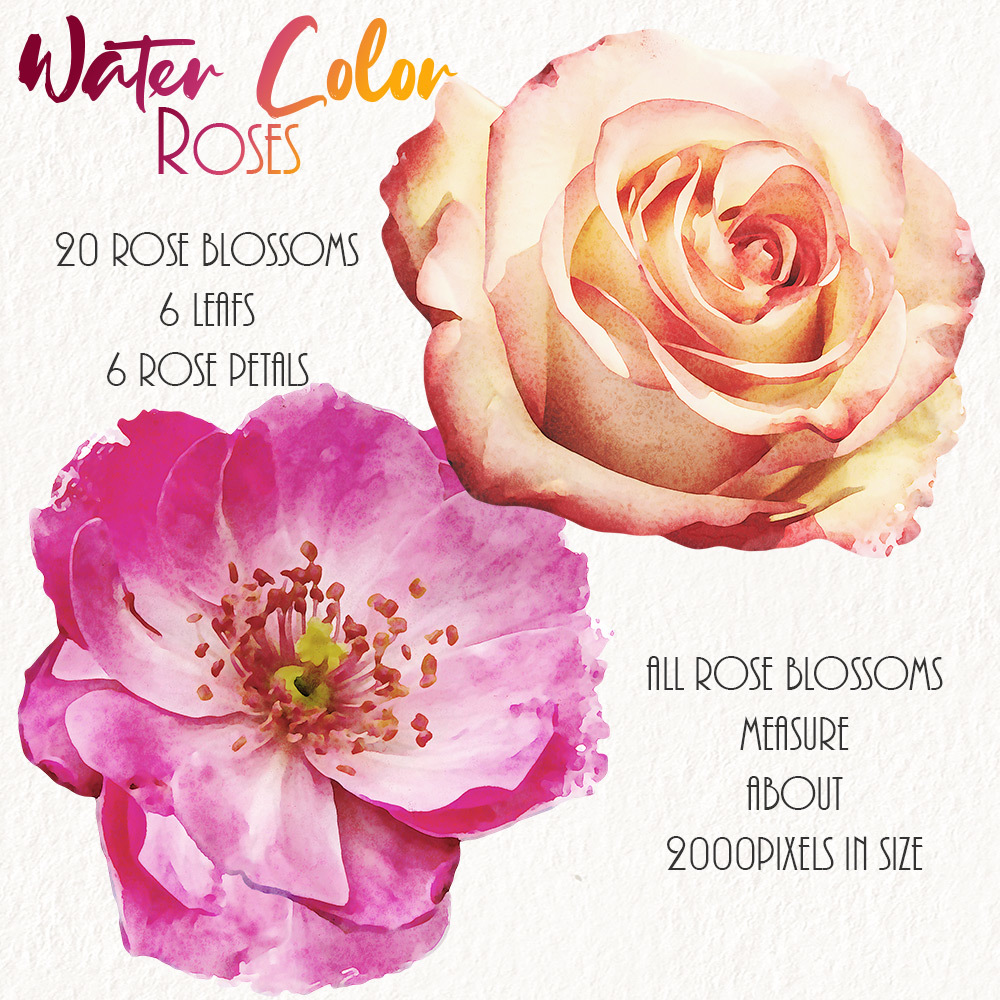 WaterColor Roses by N/A