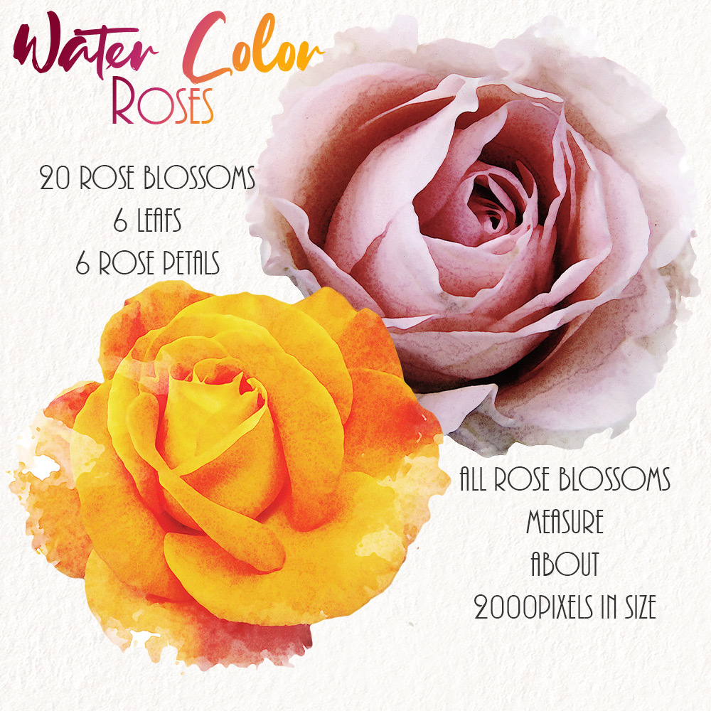 WaterColor Roses by N/A