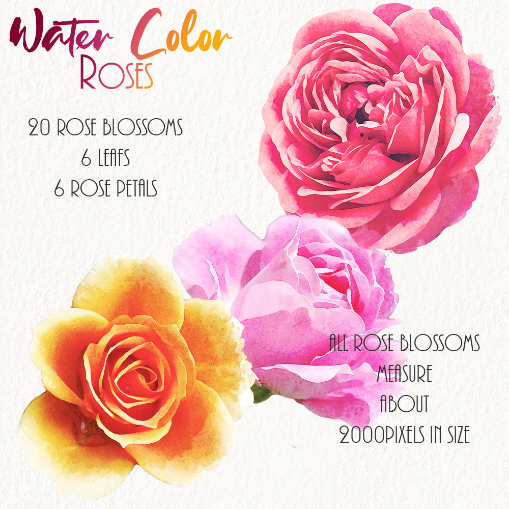WaterColor Roses by N/A