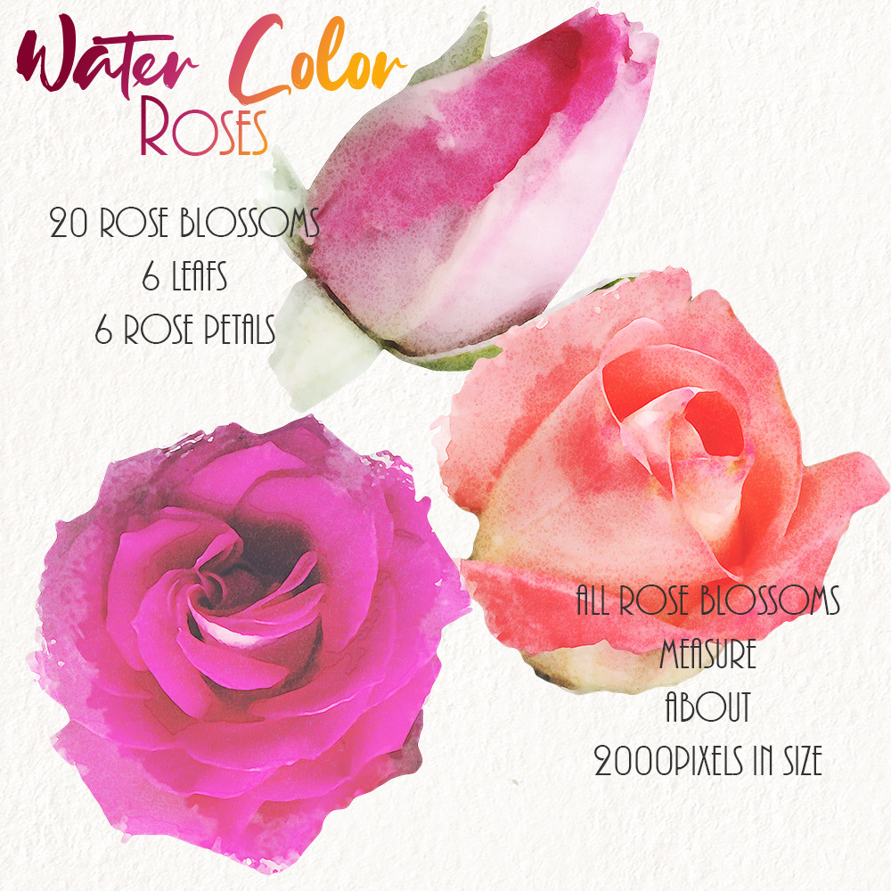 WaterColor Roses by N/A