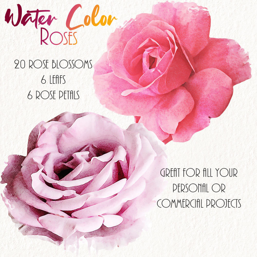 WaterColor Roses by N/A