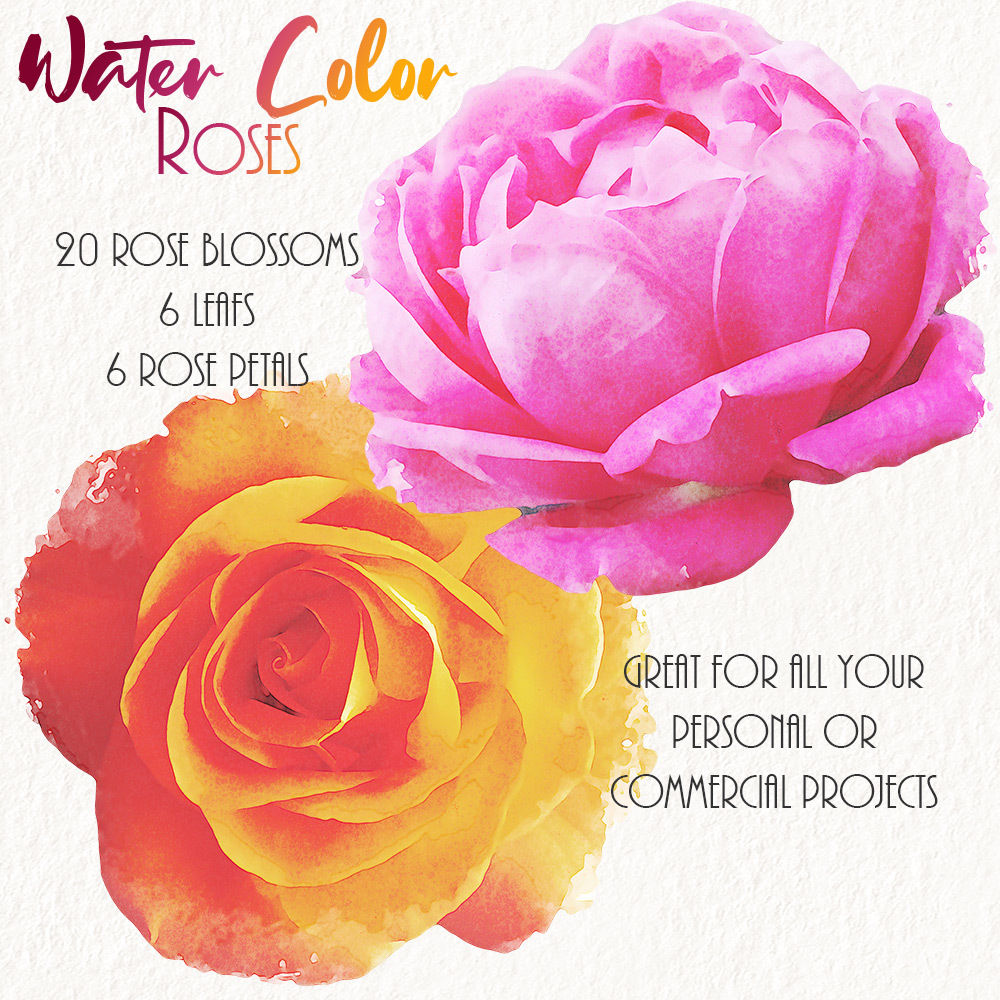 WaterColor Roses by N/A