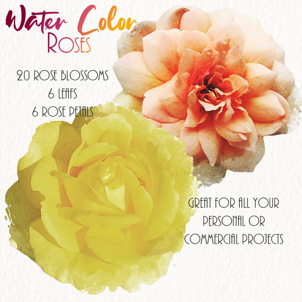 WaterColor Roses by N/A