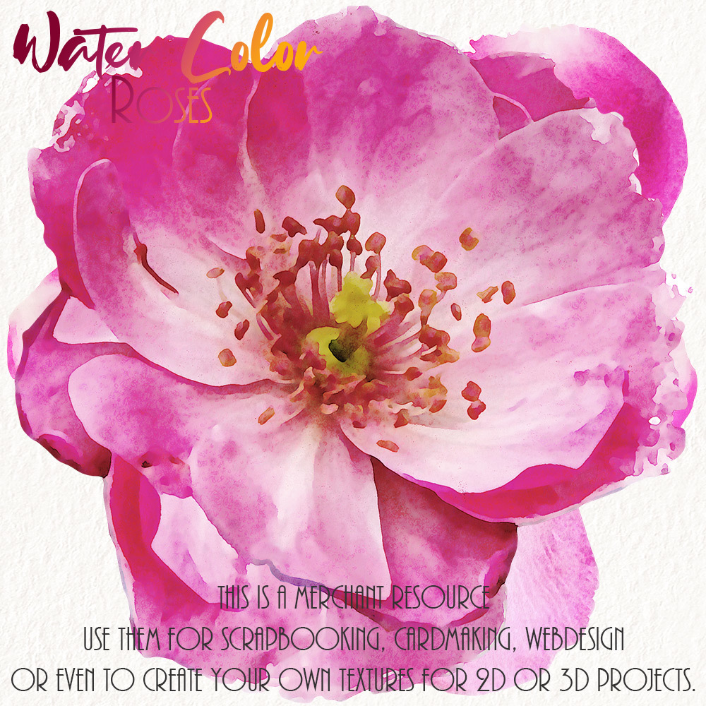 WaterColor Roses by N/A