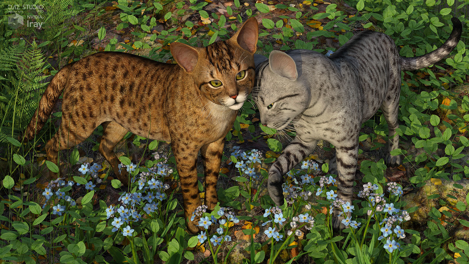 CWRW Exotics 1 for the HW House Cat by N/A