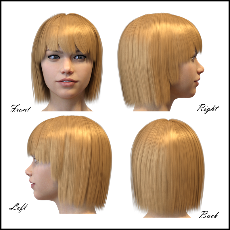 SD Hair for Genesis 8 Female by N/A