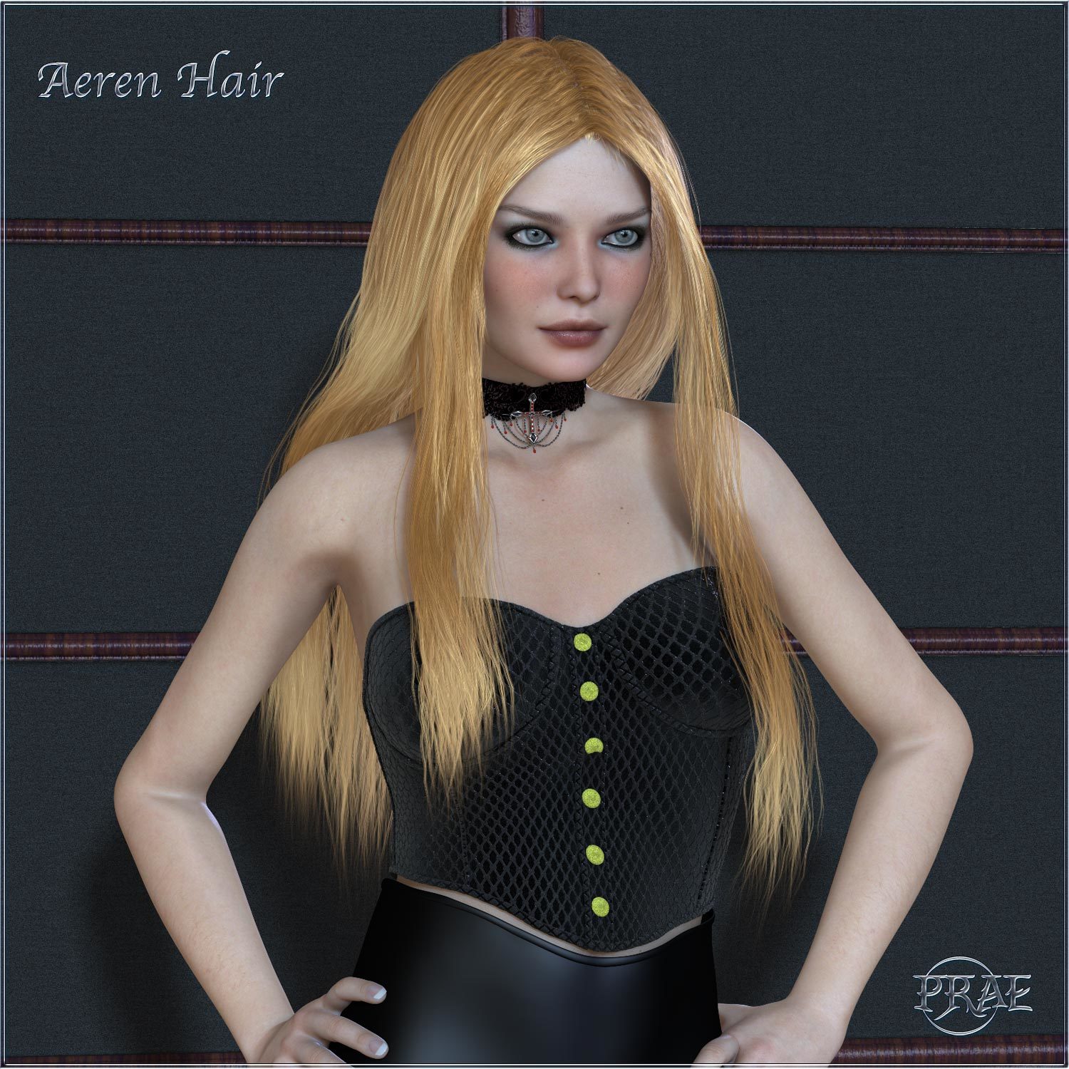 Prae-Aeren Hair for Poser by N/A