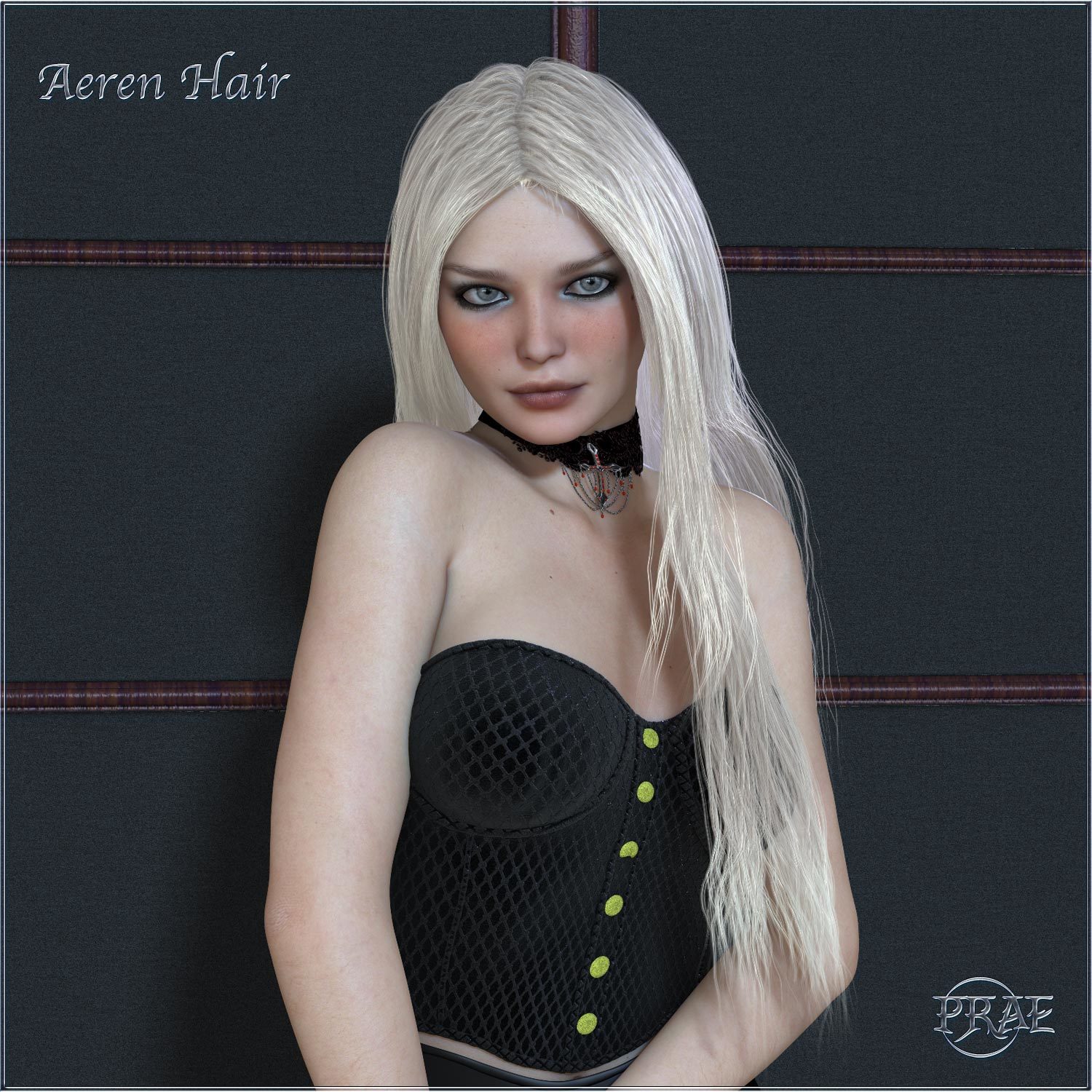 Prae-Aeren Hair for Poser by N/A