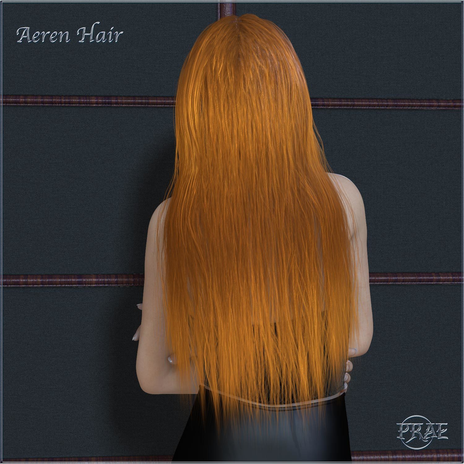 Prae-Aeren Hair for Poser by N/A