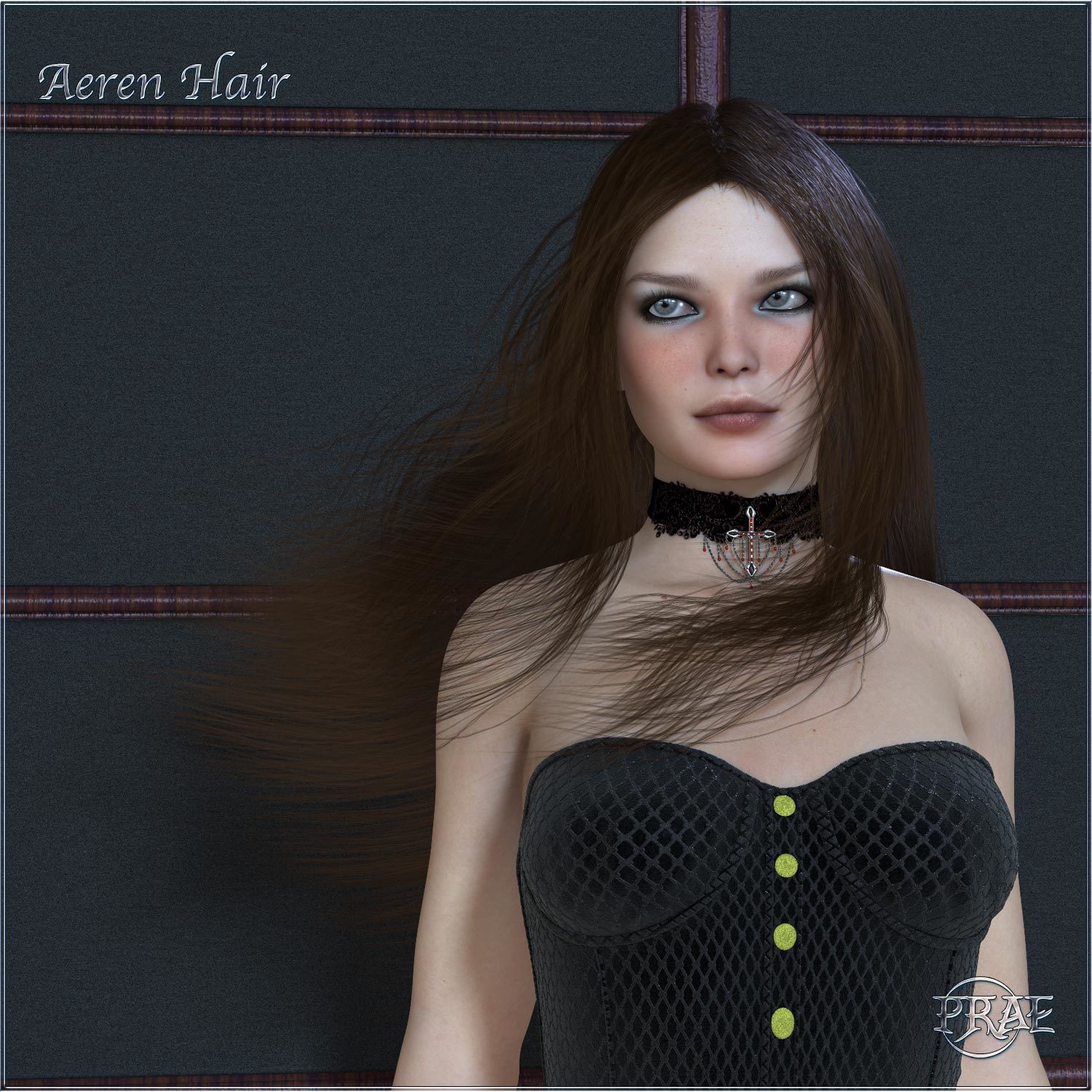 Prae-Aeren Hair for Poser by N/A