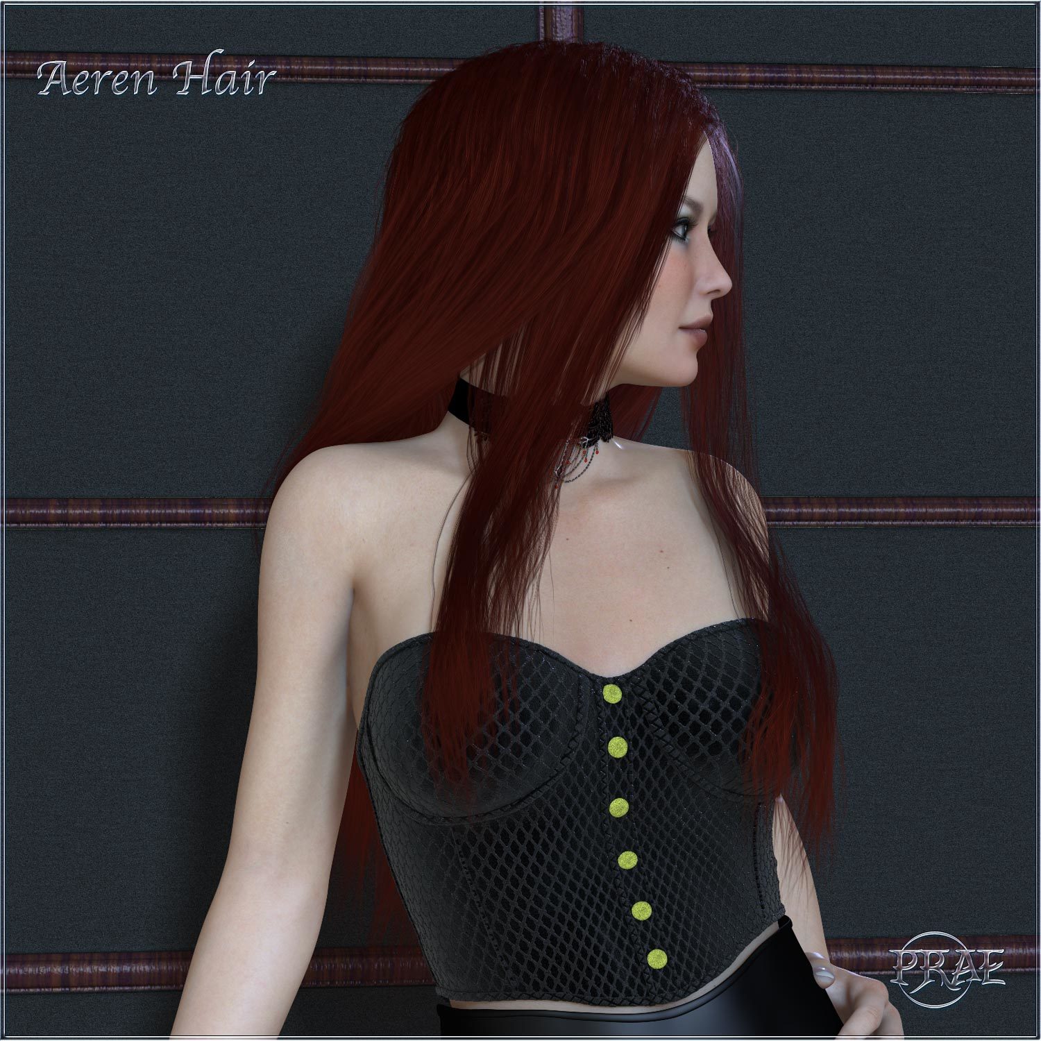 Prae-Aeren Hair for Poser by N/A