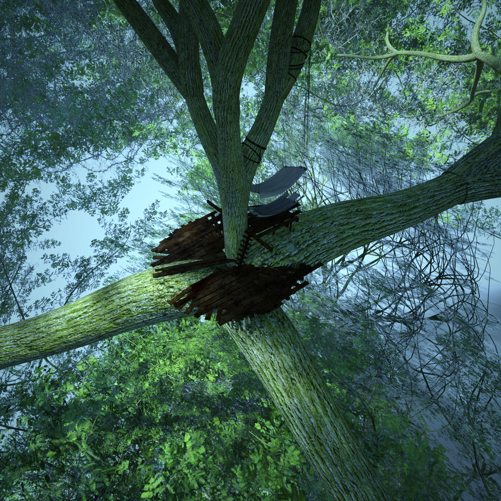 Treehouse for DS by N/A