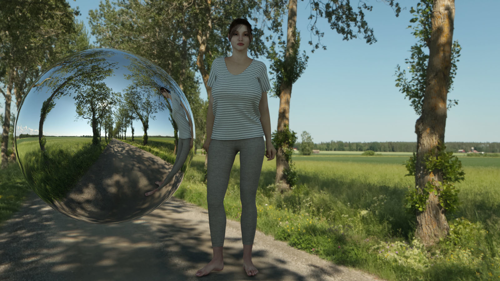 Nordic Countryside 16K HDRIs by N/A