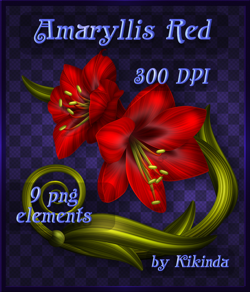 Amaryllis Red Decor Elements by N/A