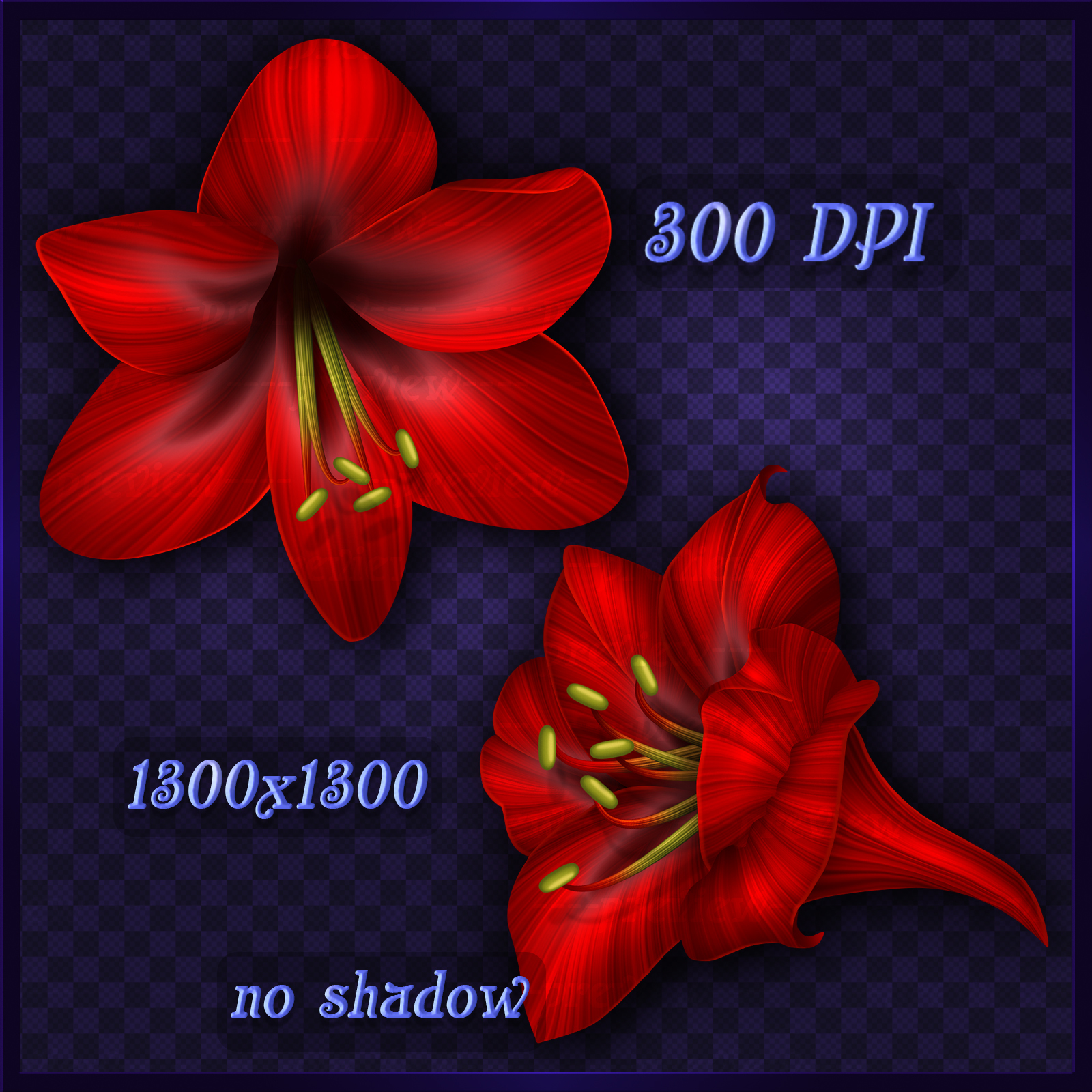 Amaryllis Red Decor Elements by N/A