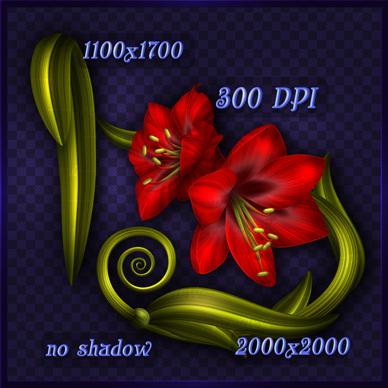 Amaryllis Red Decor Elements by N/A