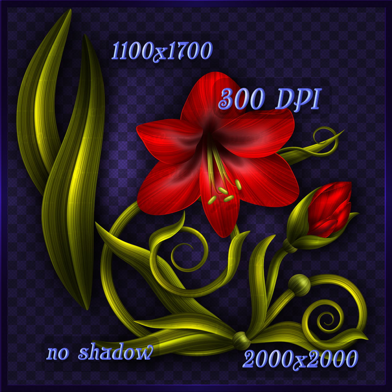Amaryllis Red Decor Elements by N/A