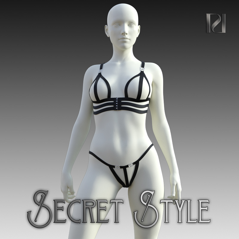 Secret Style 02 by N/A