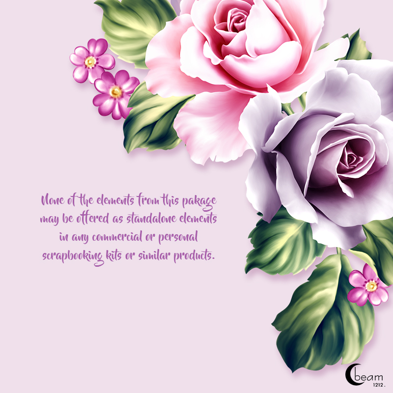 Moonbeam's Shabby Chic by N/A