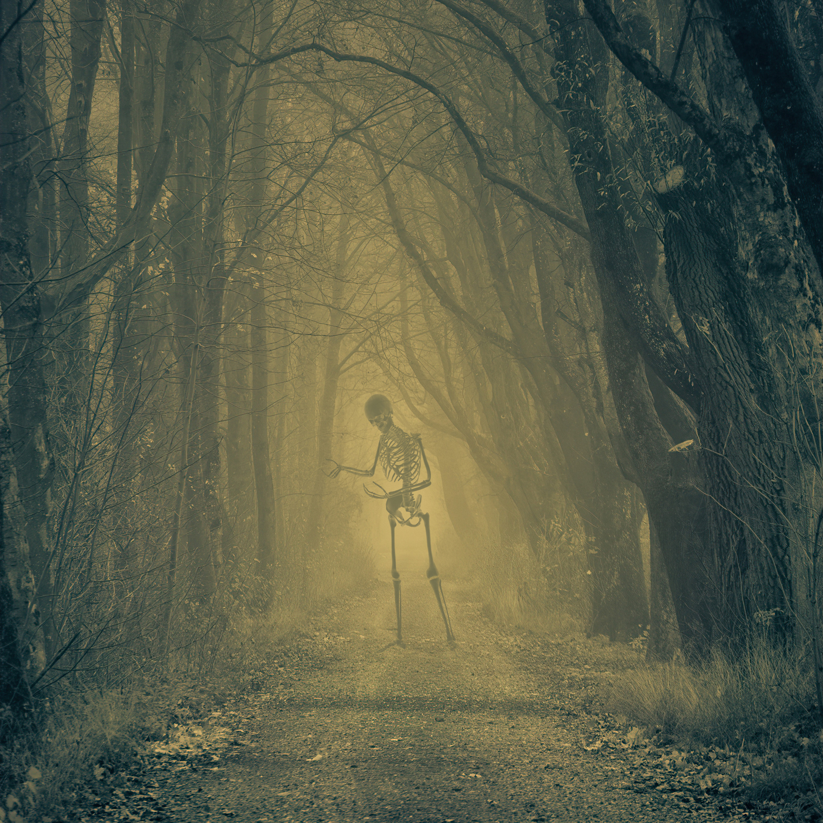 Skeleton PS Brushes by N/A