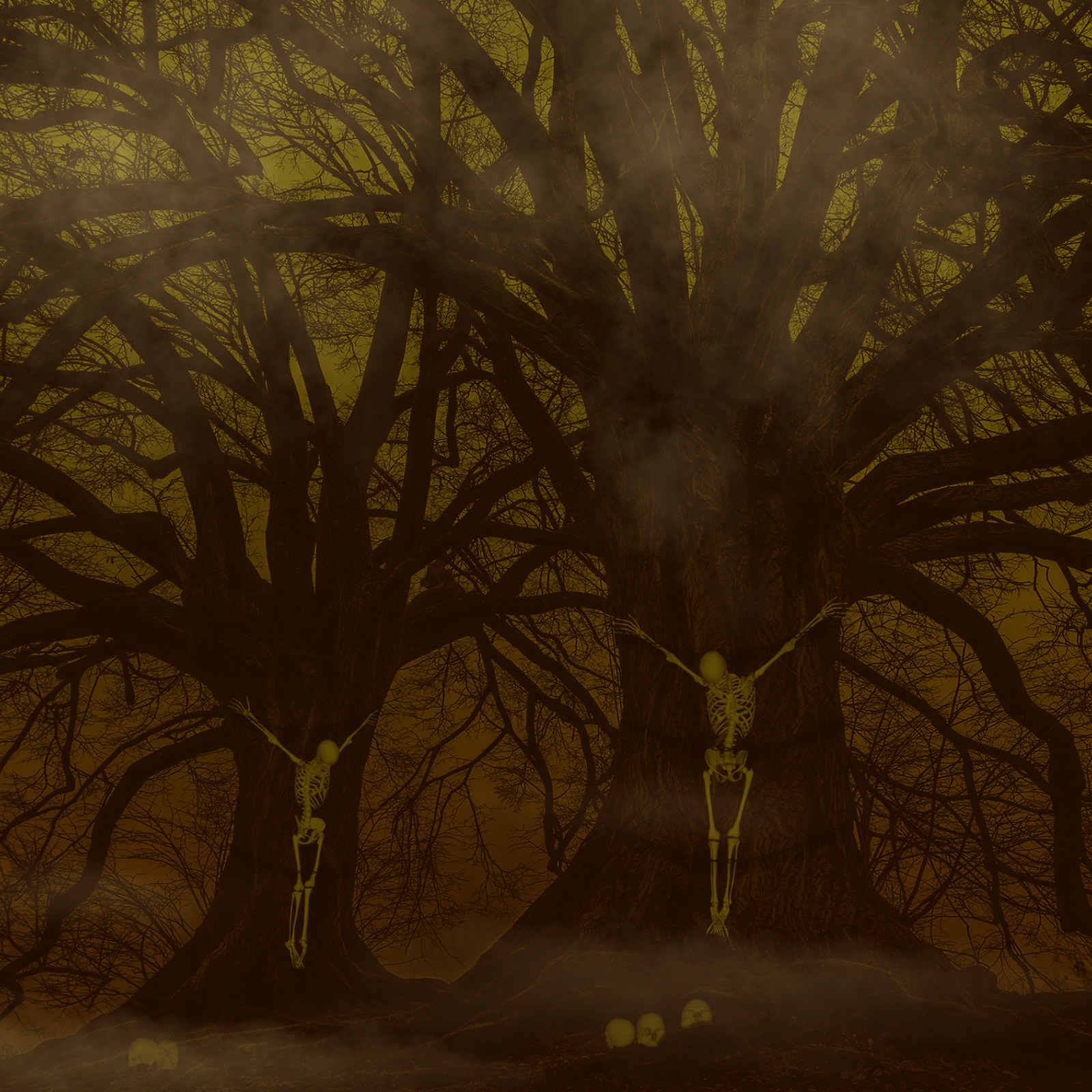 Skeleton PS Brushes by N/A