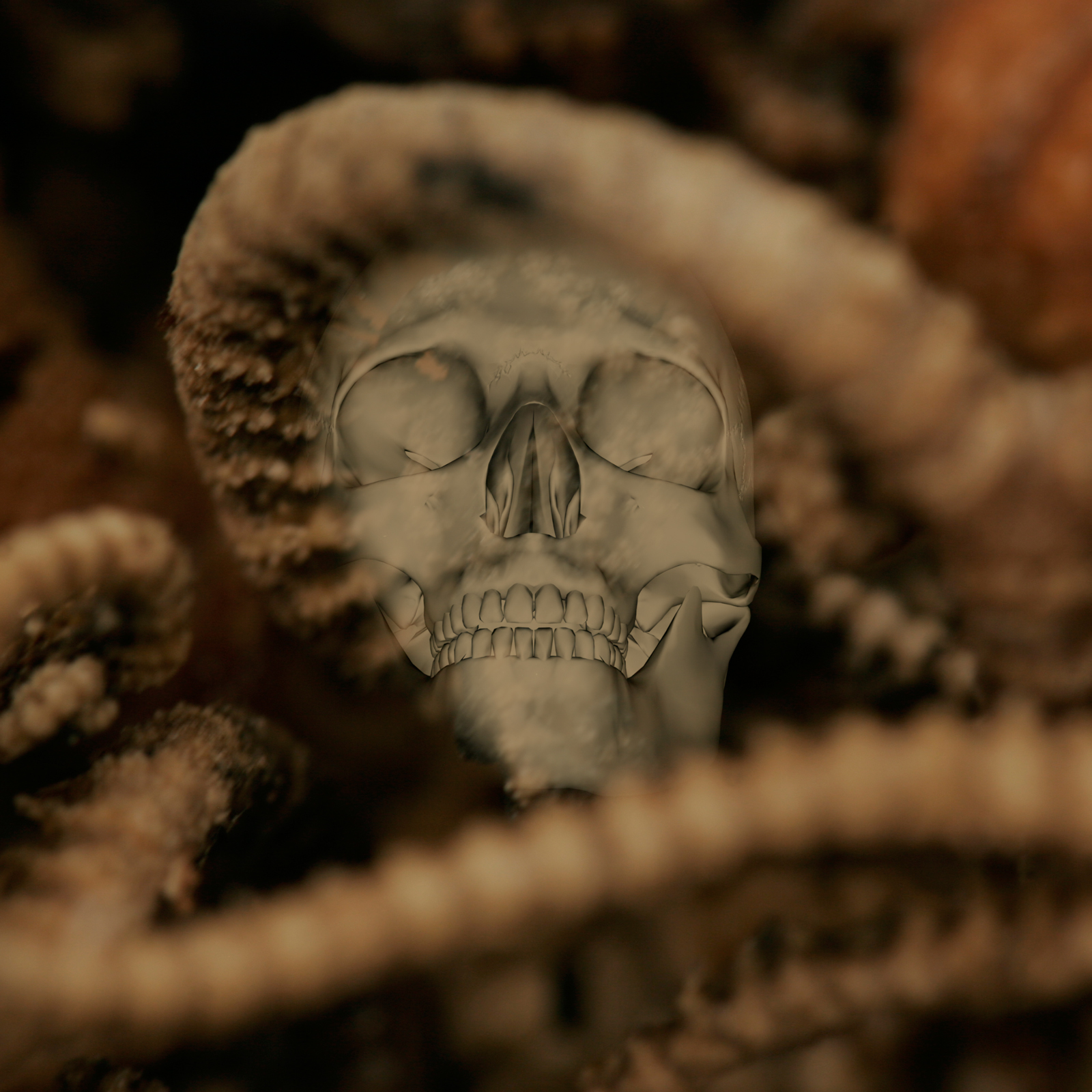 Skeleton PS Brushes by N/A