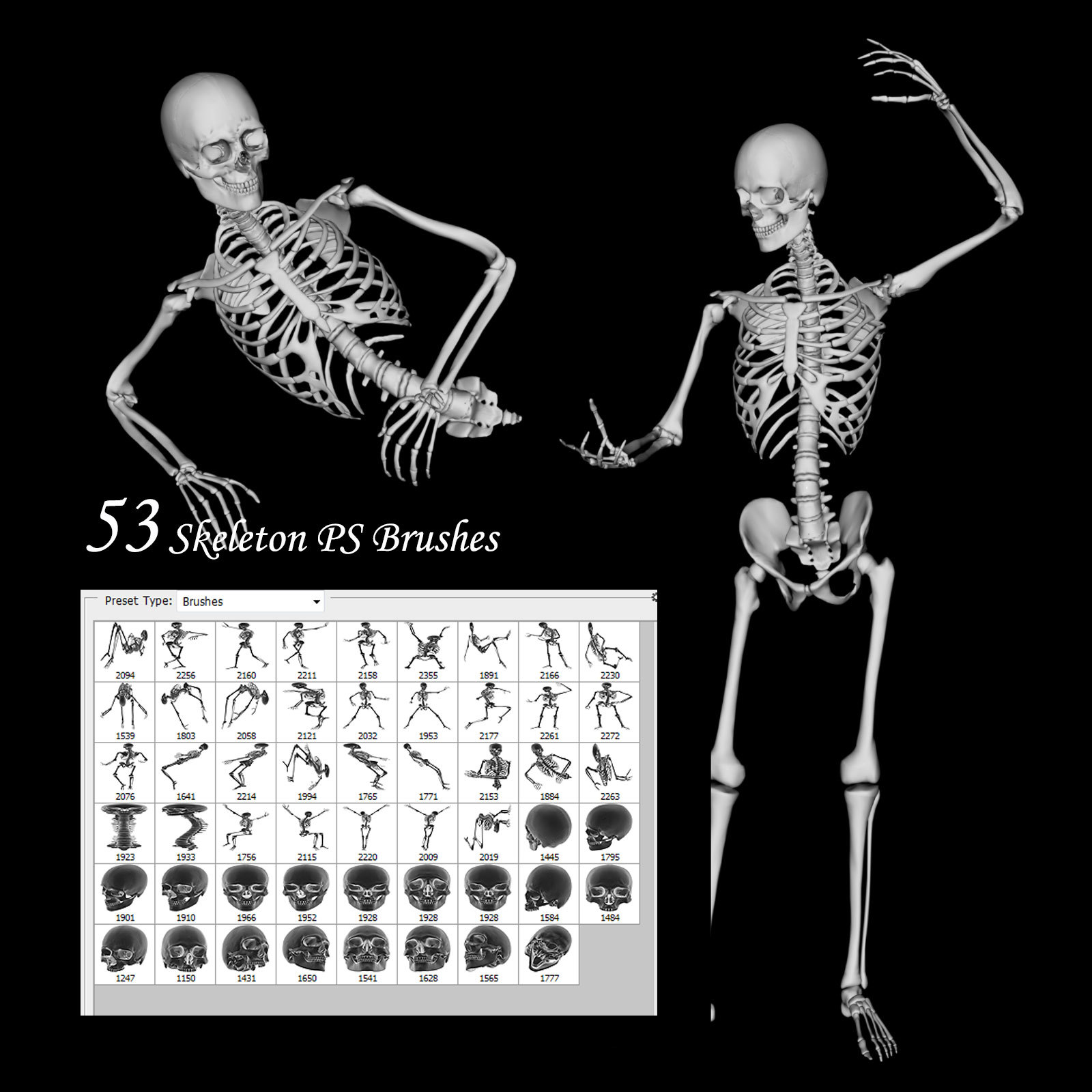 Skeleton PS Brushes by N/A