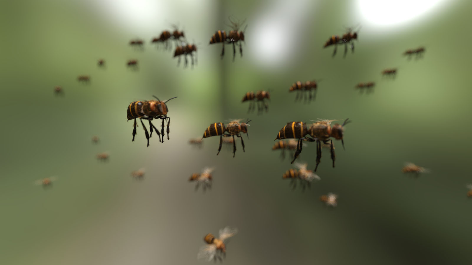 3D Insect Fauna: Bee Swarm by N/A