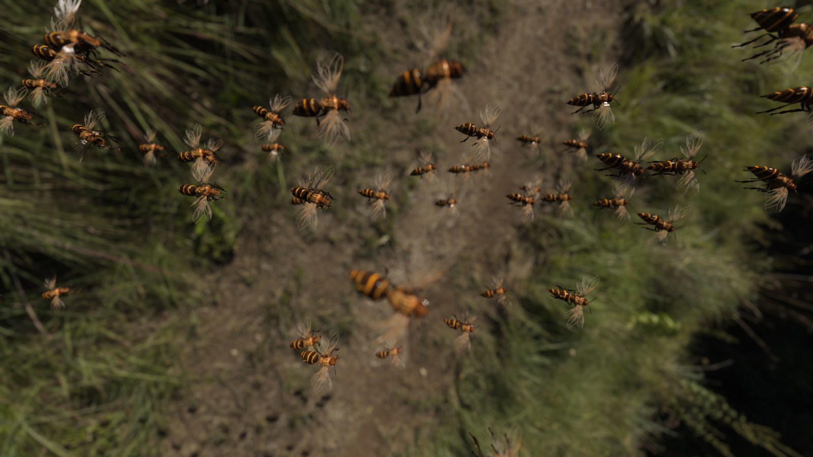 3D Insect Fauna: Bee Swarm by N/A