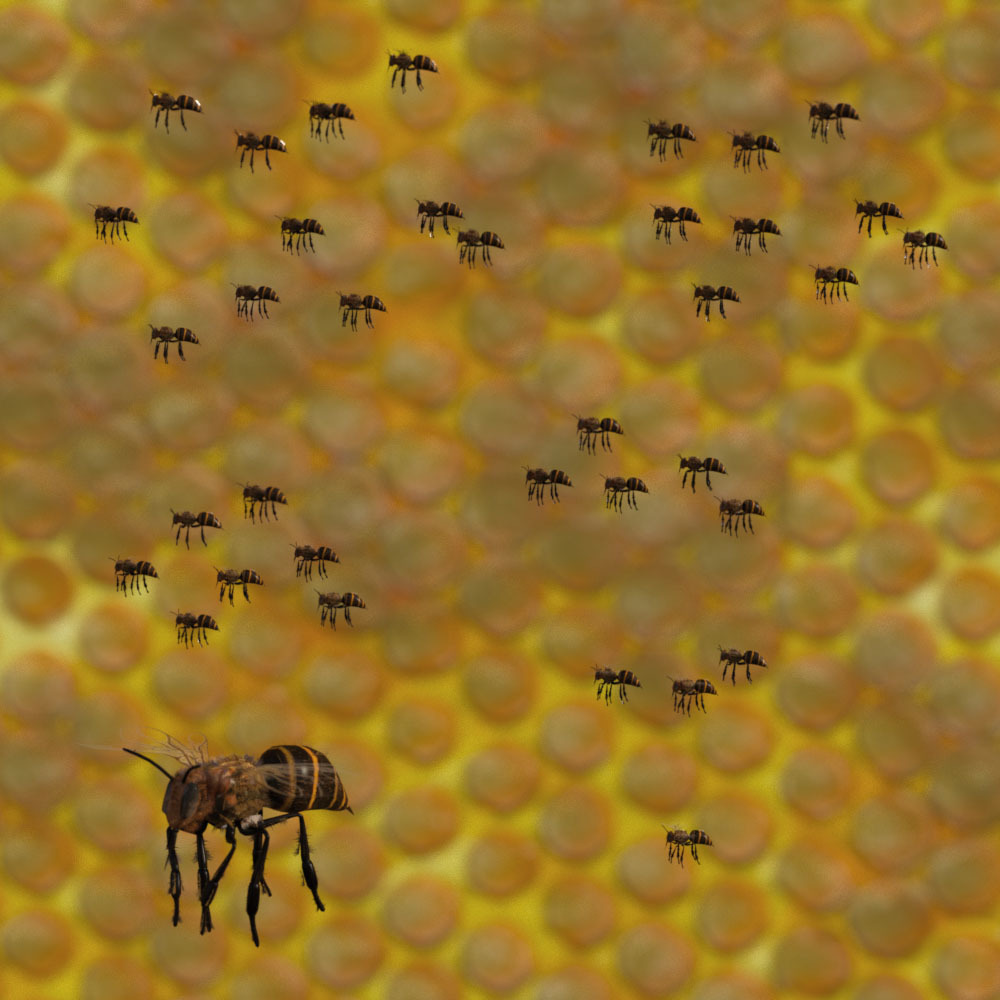 3D Insect Fauna: Bee Swarm by N/A