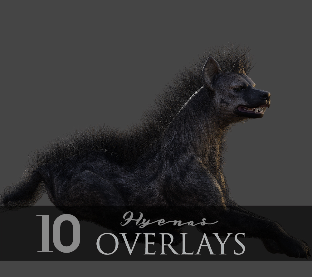 Hyenas 2D by N/A
