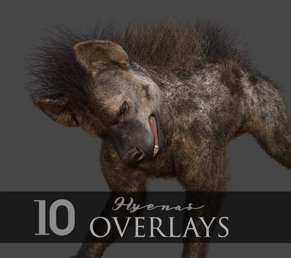 Hyenas 2D by N/A