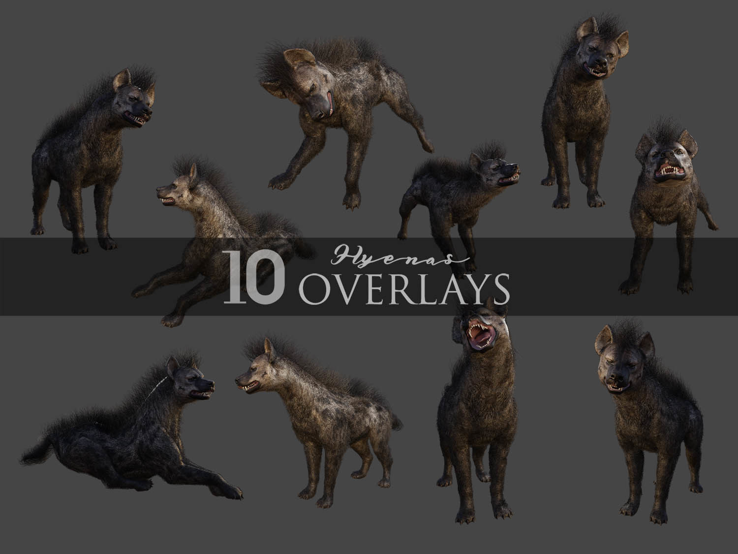 Hyenas 2D by N/A