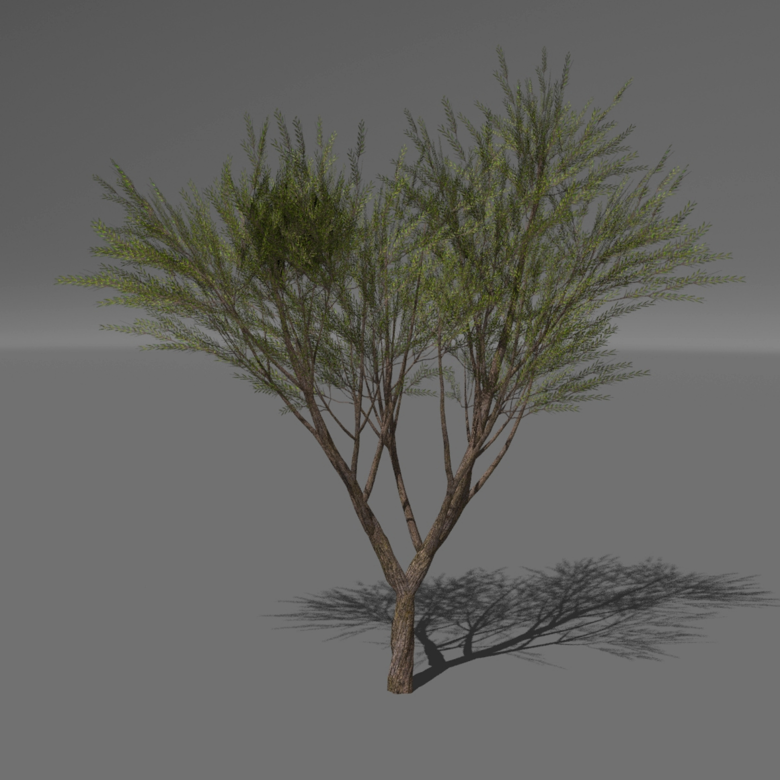 Trees and Grasses Poser by N/A