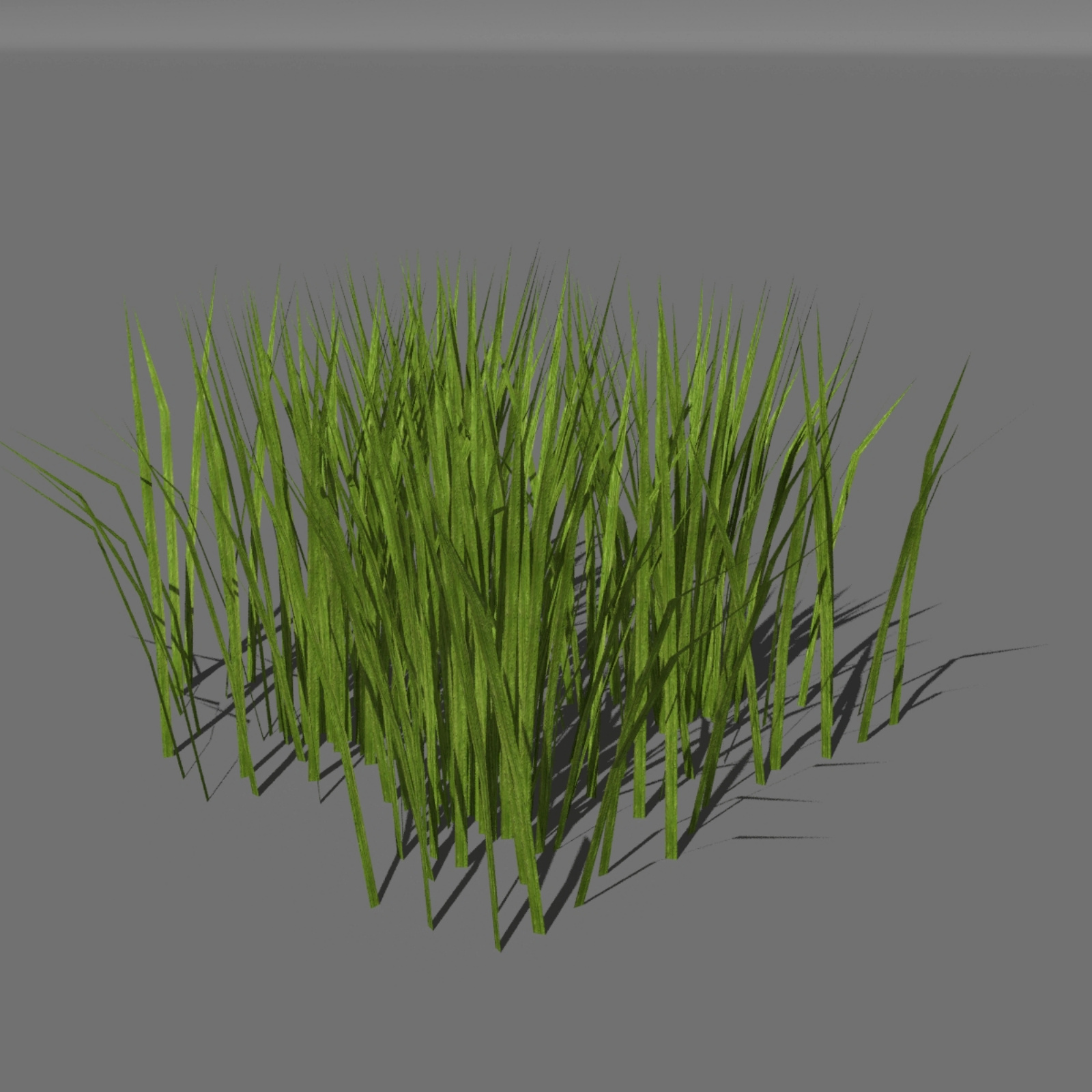 Trees and Grasses Poser by N/A